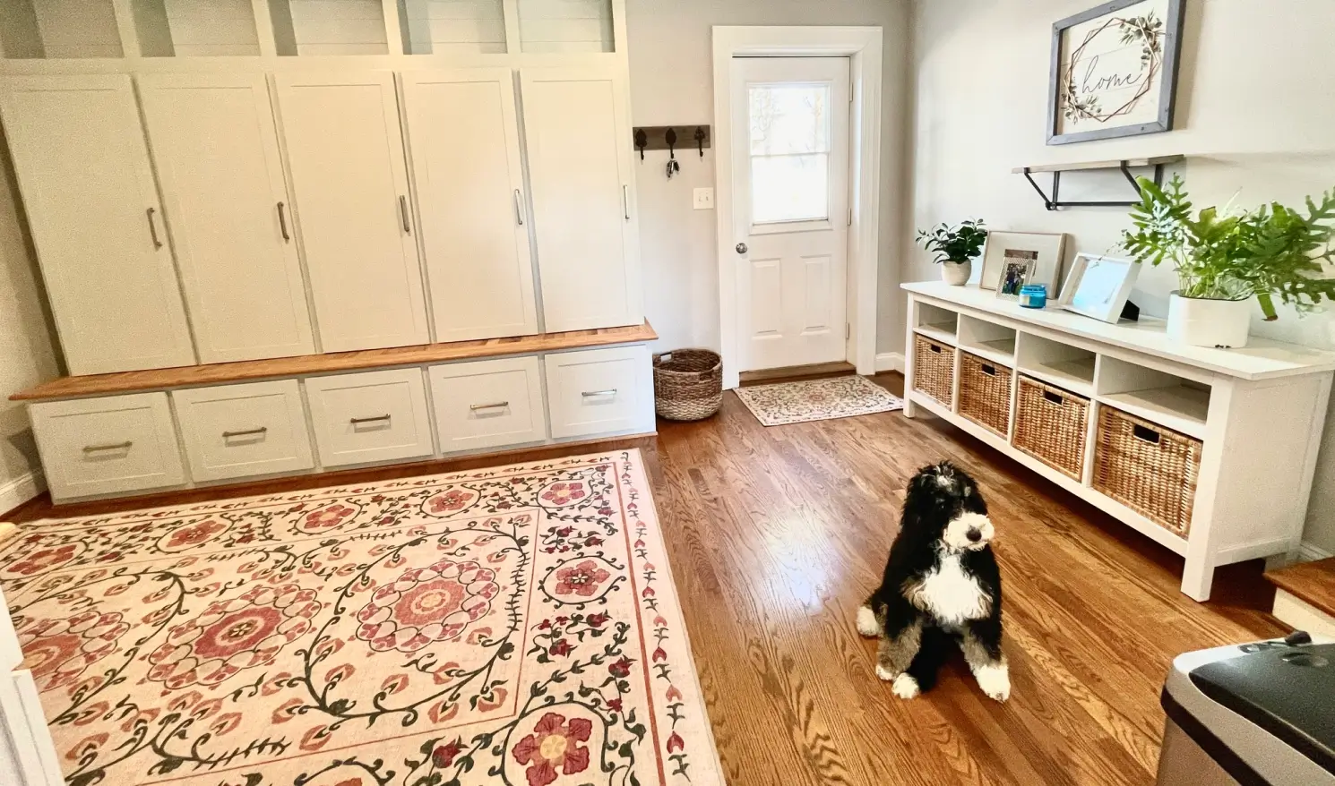 A cozy room with storage cabinets, a floral rug, and a black and white dog sitting by a door.