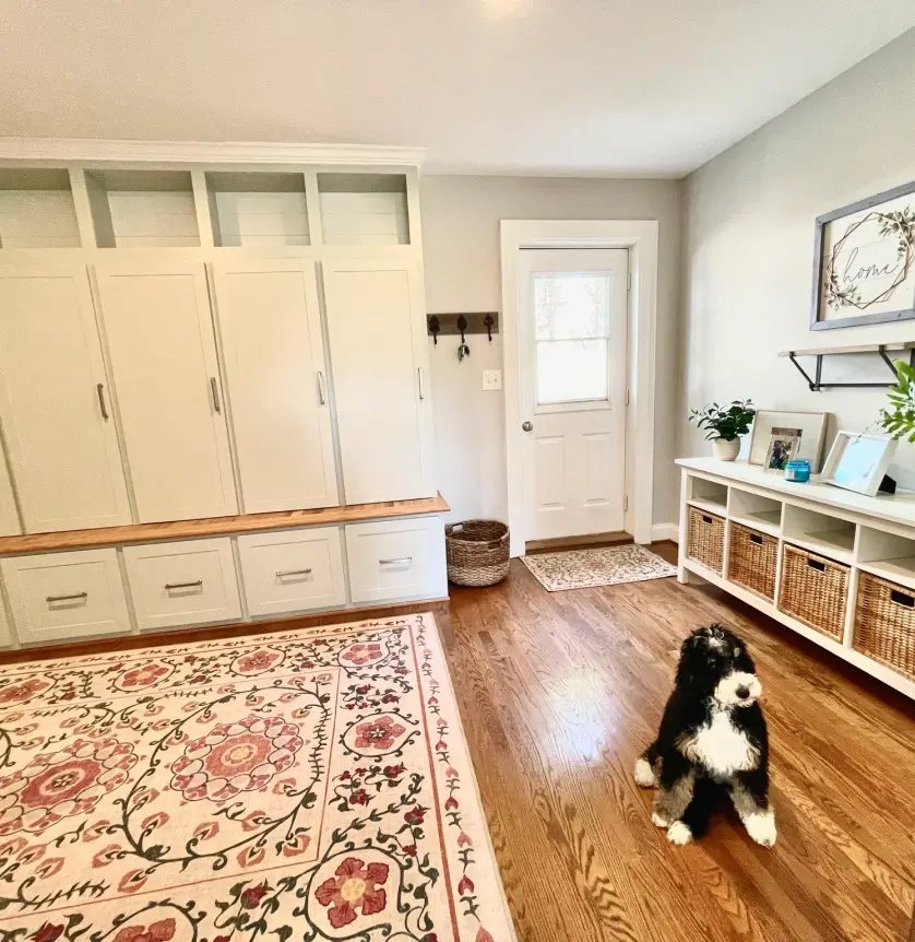 A dog sits on a wooden floor in a bright room with built-in storage, a patterned rug, and a door leading outside.