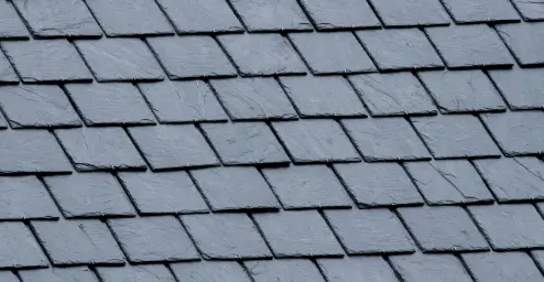 Close-up of dark gray slate roof tiles arranged in a staggered pattern.