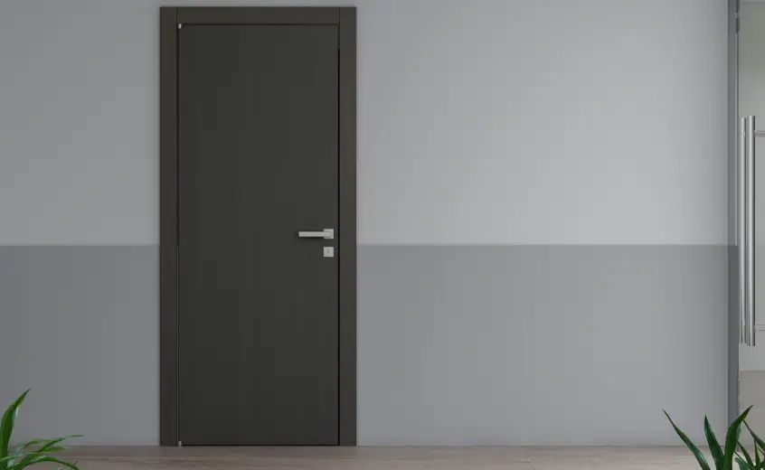 A closed dark gray door on a two-tone wall, with green plants at the bottom corners.