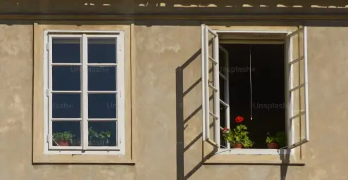 Two windows on a beige wall, one open with green plants and red flowers on the ledge.